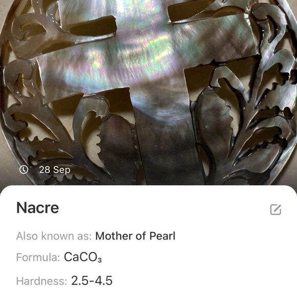 Rainbow Mother of Pearl Longevity Life Tree Pendant Bronze Link Long Necklace - Picture 11 of 12